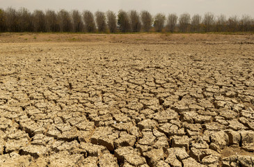 Drought ground of ecology and the environment