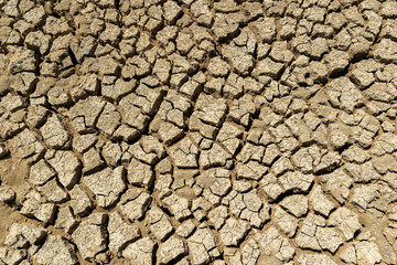 Drought ground of ecology and the environment