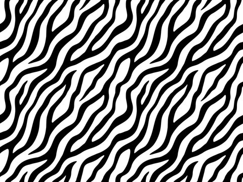 Zebra stripes seamless pattern. Tiger stripes skin print design. Wild animal hide artwork background. Black and white vector illustration