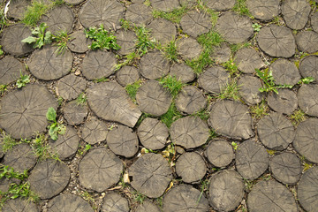 Outdoor paving made of natural round wooden logs.