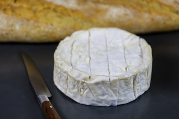 fromage français : camembert de Normandie et baguette de pain