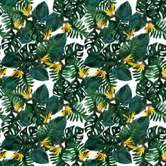 Original seamless tropical pattern with Strelitzia and leaves on white background. Seamless pattern with colorful leaves of colocasia, filodendron, monstera. Exotic wallpaper. Hawaiian style © Olena