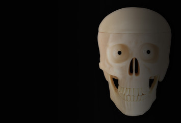 Skull isolated on black background
