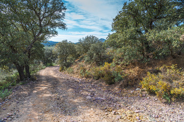 Track next to the "Archidona Lagoon". Malaga. Spain.