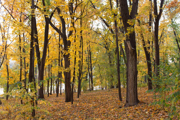 Beautiful autumn view in parks of Chisinau.