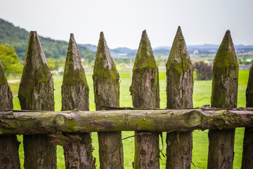 Quarantine, restriction of freedom of movement.