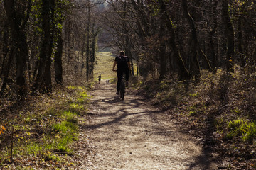 Fahrradfahren Natur Wald