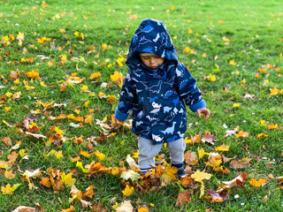 Toddler enjoying the garden in Autumn