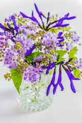 サルビアとメドーセージ（青紫のハーブ）の花