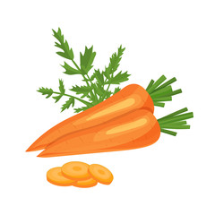 Carrot vector illustration. Carrot icon. Fresh healthy food - organic natural food isolated on white