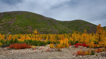 Russia. Magadan. The amazing beauty of the autumn of the Far East. 