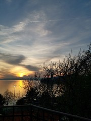 Naklejka premium sunset in forest