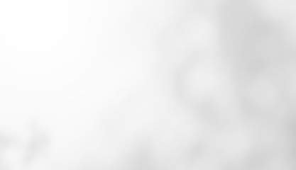 Abstract Shadows, blurred background of gray leaves and natural trees that reflect concrete walls, fallen branches on white wall surfaces for blurred backgrounds and black and white wallpapers.