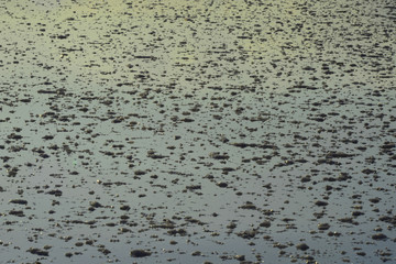 Sunset at Salt Lake ( Tuzgölü ) Aksaray, Turkey.