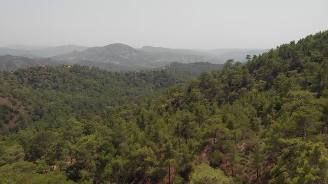 Aerial drone view of mountains, covered with green pine tree forest
