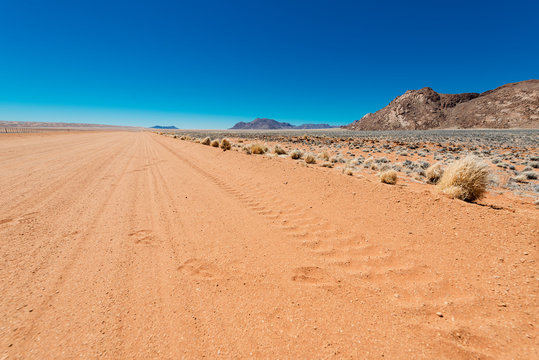 Namibia Desert, Namibia