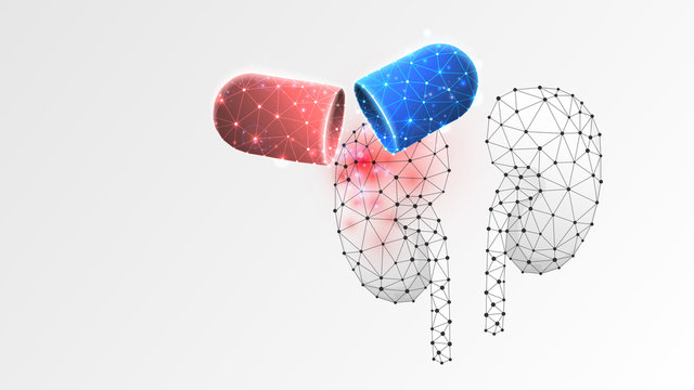 Human Kidneys medicaments in a capsule. treatment in a pill, vaccine concept. Low poly, wireframe 3d Raster illustration. Abstract polygonal image on white origami background