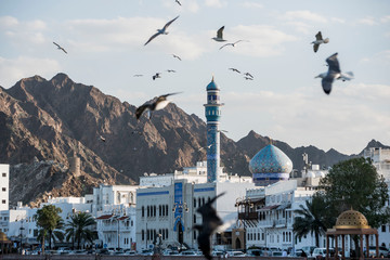 Birds over Mosque in Muscat Oman - obrazy, fototapety, plakaty