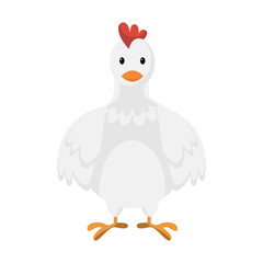 Cartoon cute white chicken, vector illustration