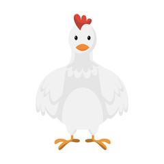 Cartoon cute white chicken, vector illustration