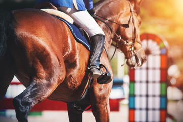 A sleek Bay horse with a rider in the saddle galloped forward to the barrier at a show jumping...