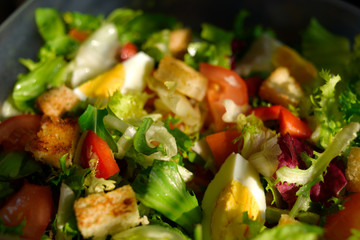 Salad in the morning. Salad with egg, lettuce, tomato, croutons, pepper. Diet, proper nutrition, perfect breakfast.