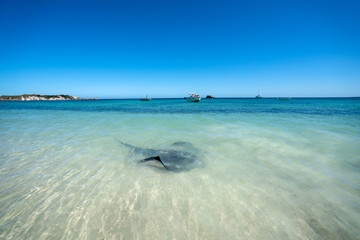 Hamelin Bay Beach © lylie