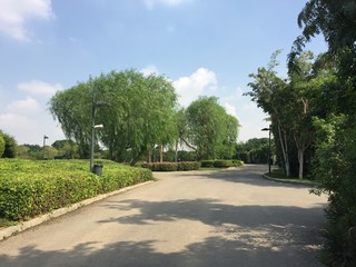 park