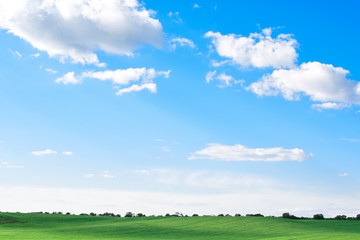 empty green grass field with blue sky and white clouds, natural screensaver on the monitor, beautiful landscape, sky and earth