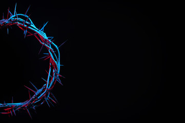 Crown Of Thorns On A Black Background