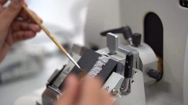 Rotary Microtome Section for diagnosis in pathology make microscope slide histology. Human tissue equipment.