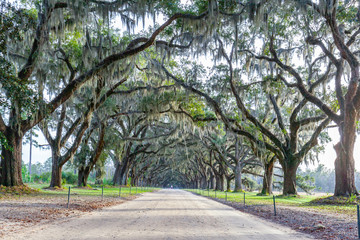 The avenue sheltered by live oaks and Spanish moss in Wormsloe Historic Site in Savannah, Georgia, USA. Wormsloe Historic Site, informally known as Wormsloe Plantation, is a state historic site. 