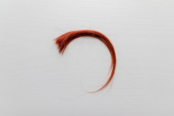 DNA test, biomaterial for the study of paternity, kinship. Women's hair strand on white background, top view