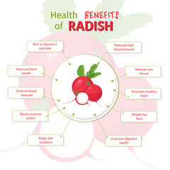 Health Benefits of radish. Radish nutrients infographic template vector illustration