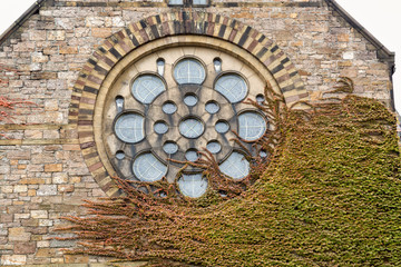 Colors of Autumn in Boston, Massachusetts