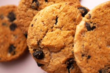 Cookie with chocolate chip with selective focus, close-up