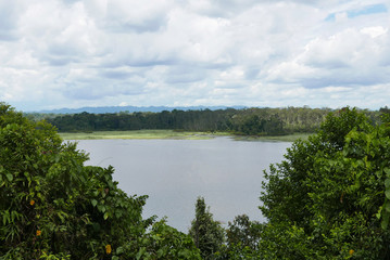 Fototapeta na wymiar A forest lake with a blue cloudy sky.