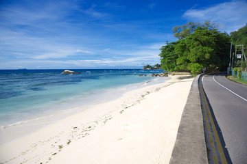 Fototapeta premium Scenic view on idyllic beach with sand and palm tree.