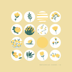 Vector set design colorful templates icons and emblems - social media story highlight. Different botanical blogger icons in trendy style.