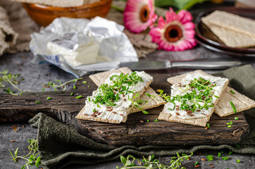 Delicious fresh cheese with herbs on crispbread