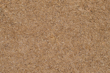 The top view rice husks. For wallpaper and backdrop with copy space.