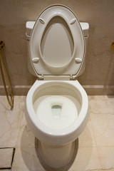 White toilet in the bathroom of an expensive house.