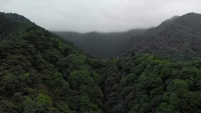山の木々と曇り空