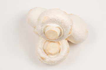 Champignon mushroom isolated on white background.