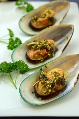 Baked green mussels with garlic butter herb sauce 