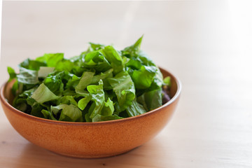 green salad of lattuce in natural ceramic plate on wooden light background. Space for text.