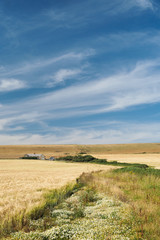 Fototapeta premium Path leading into a field to a country house, Isle of Wight, South England