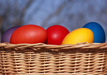 Easter eggs colors in basket blurred background