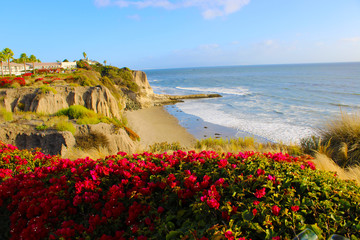 a stunning shot of the vast blue ocean water and blue sky with and a beach cove with red flowers at...