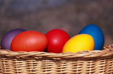 Easter eggs colors in basket blurred background